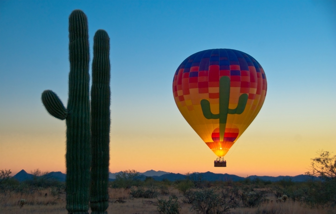 Soaring Over the Sonoran!