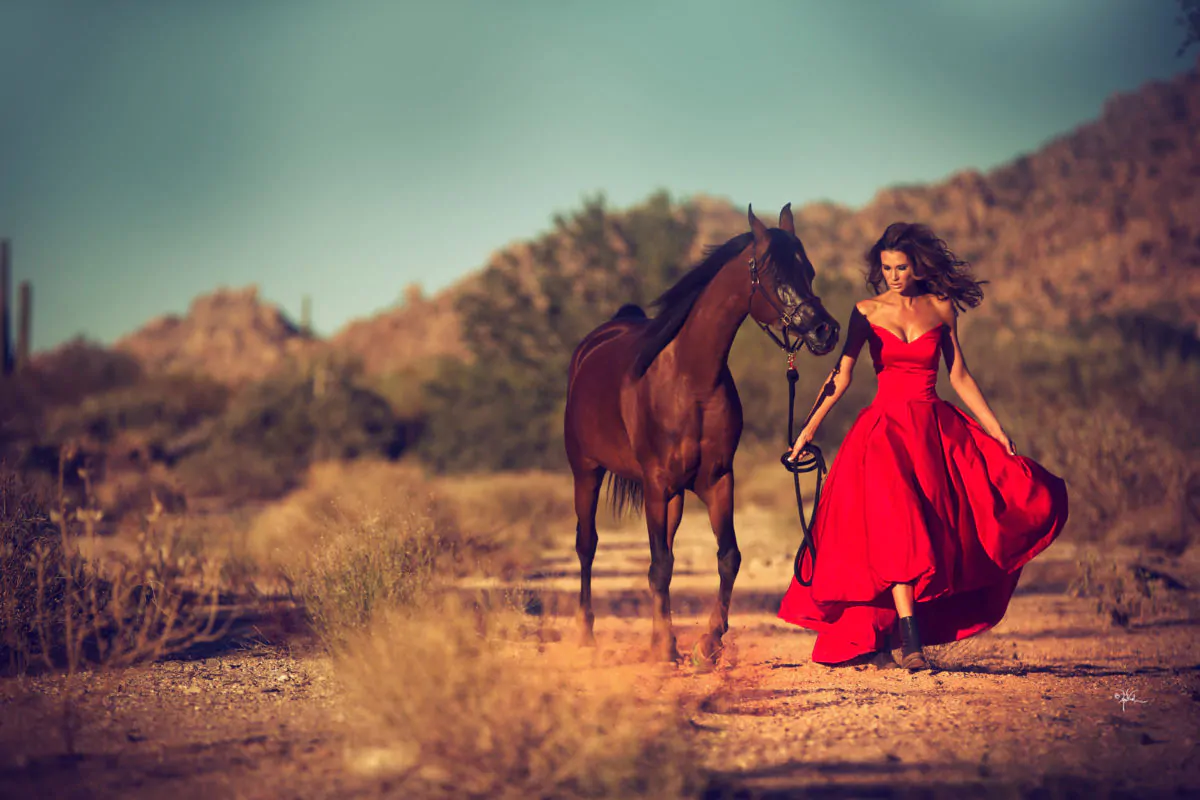 Scottsdale's Rich History & Legacy of the Arabian Horse