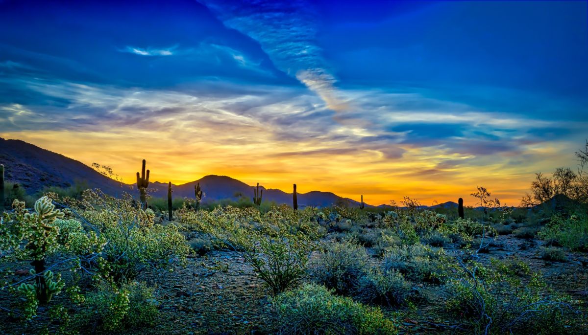 4 Tips for Photographing Desert Landscapes