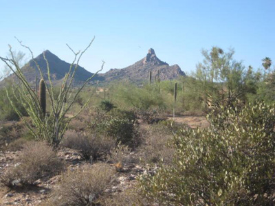 Pinnacle Peak Area View Lot