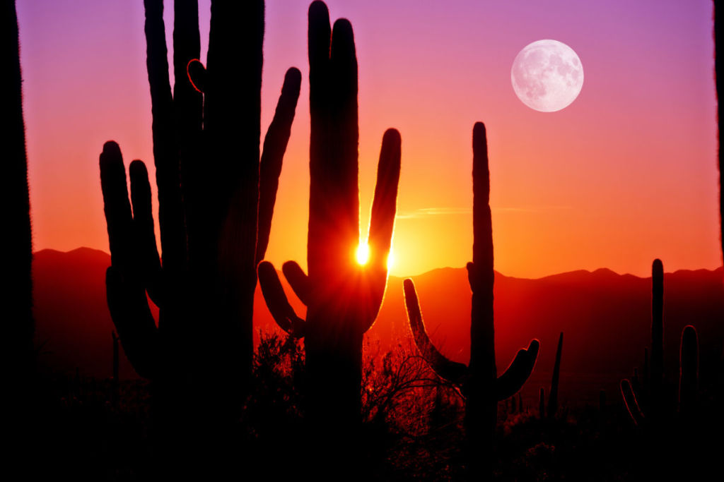 Spectacular Scottsdale Sunsets
