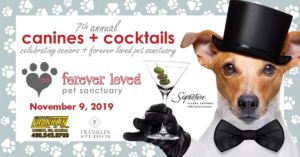 Canines + Cocktails | November 9, 2019