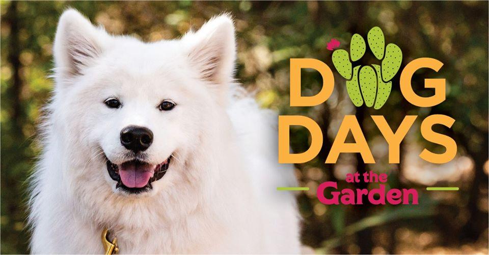 Dog Days at the Garden | November 7th - 21st, 2020