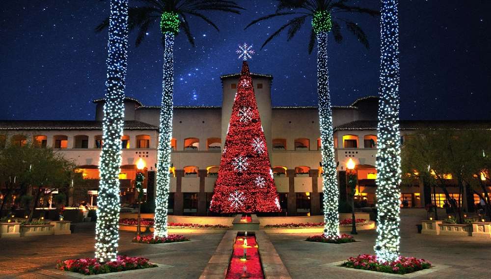 11th Annual Holiday Tree Lighting Ceremony | November 17th, 2020