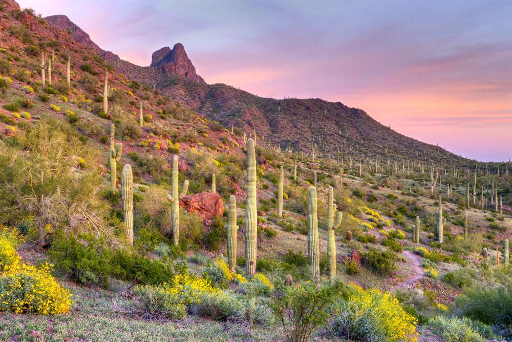 What's your favorite North Scottsdale hike?