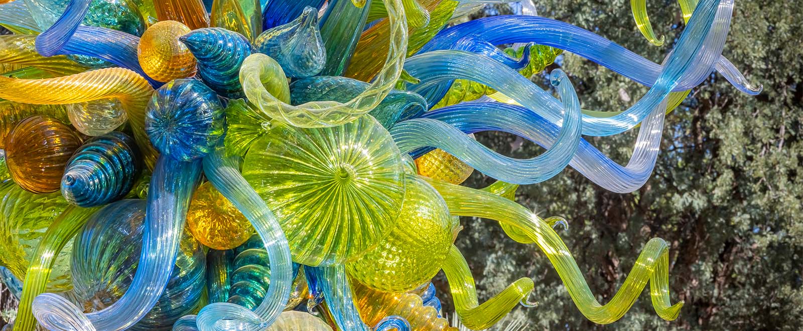 CHIHULY IN THE DESERT
