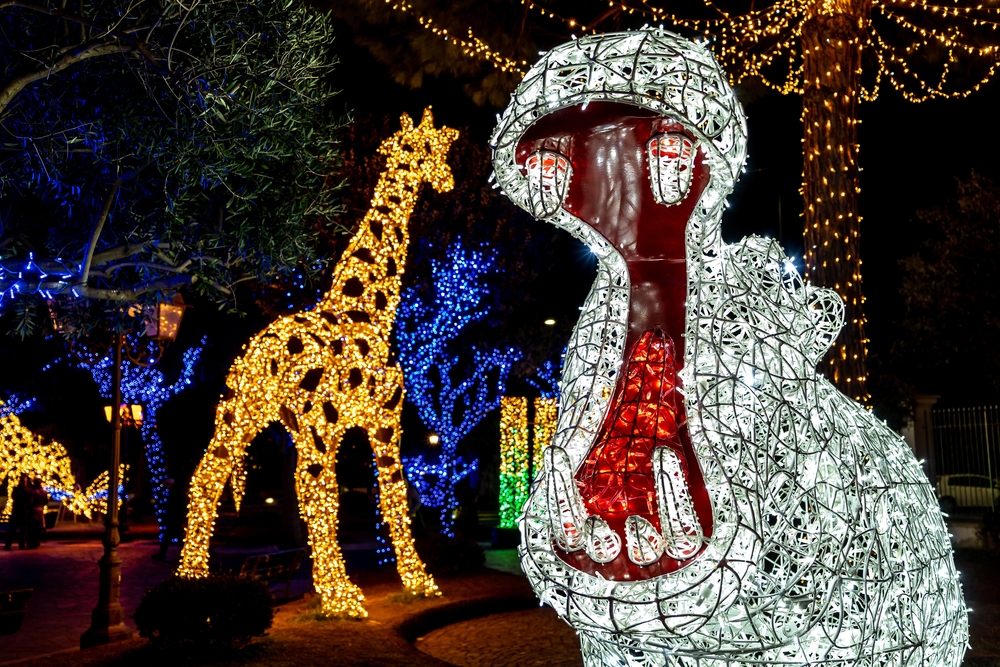 Zoo Lights