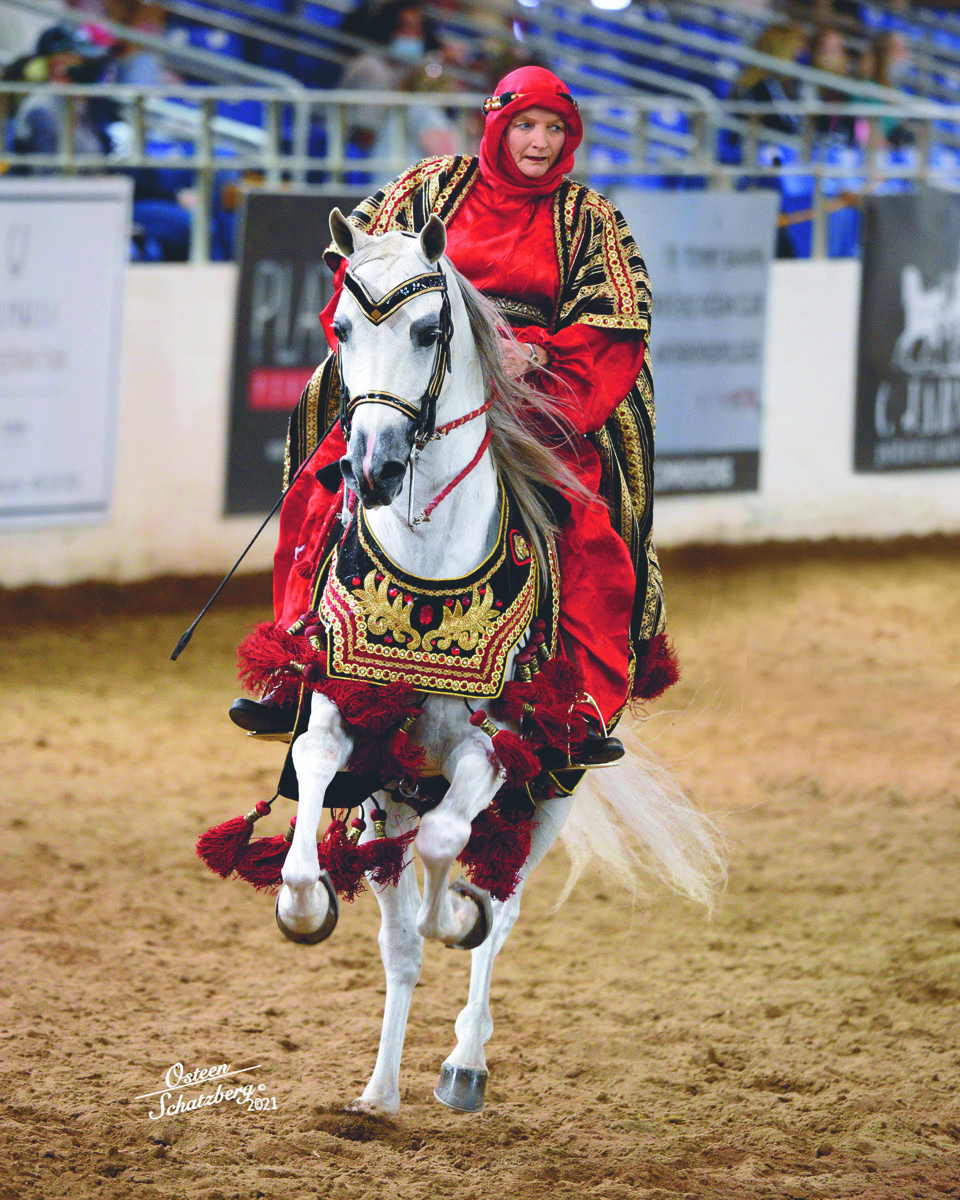 Arabian Horse Show