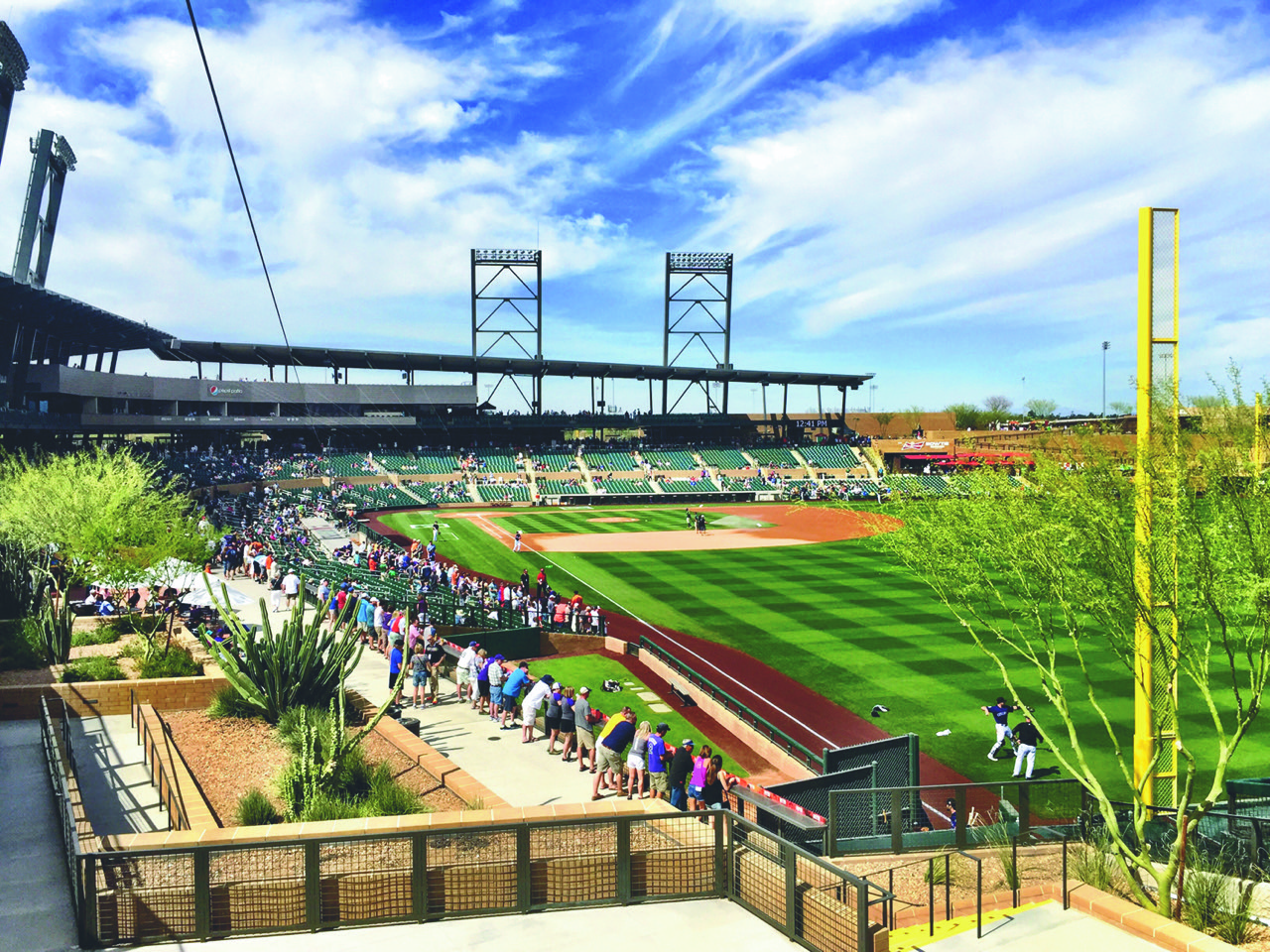 Cactus League Spring Training Season