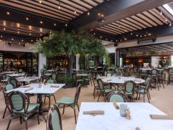 The Henry Has Arrived