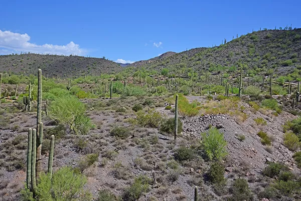 Continental Mountain Estates Lot 4