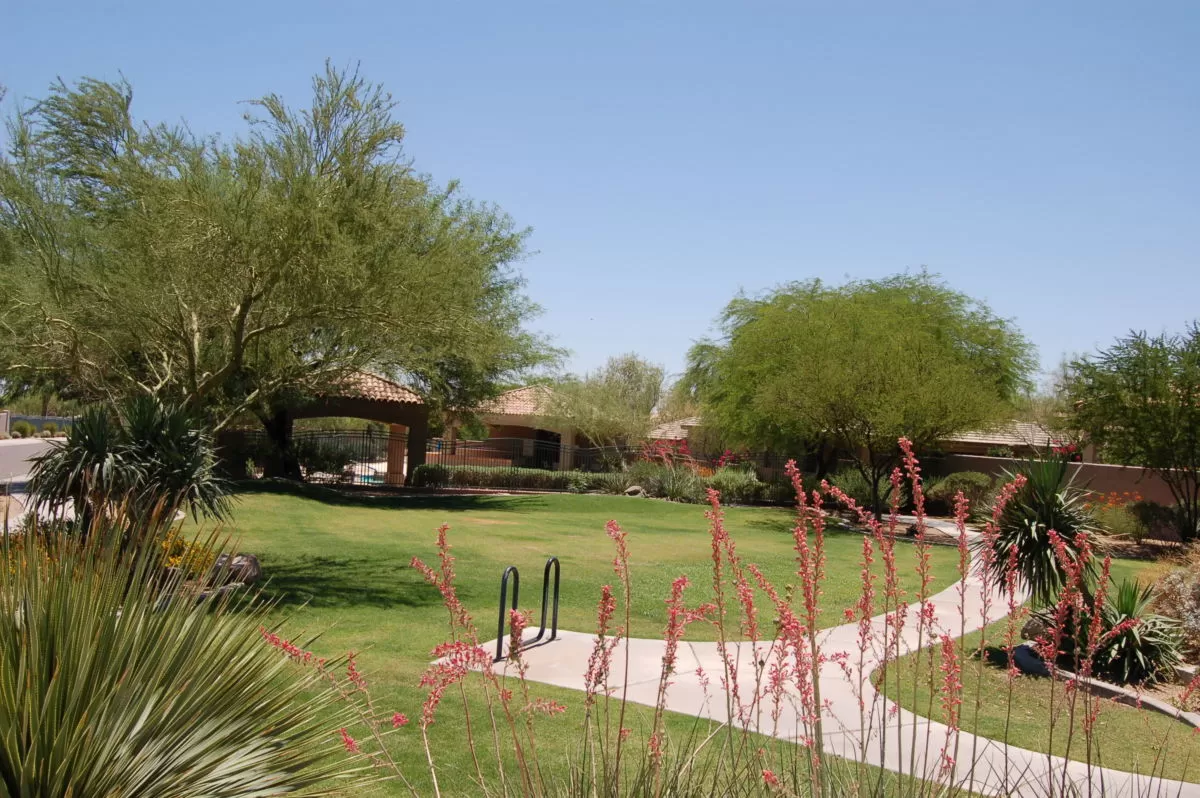 Grayhawk Pocket Parks