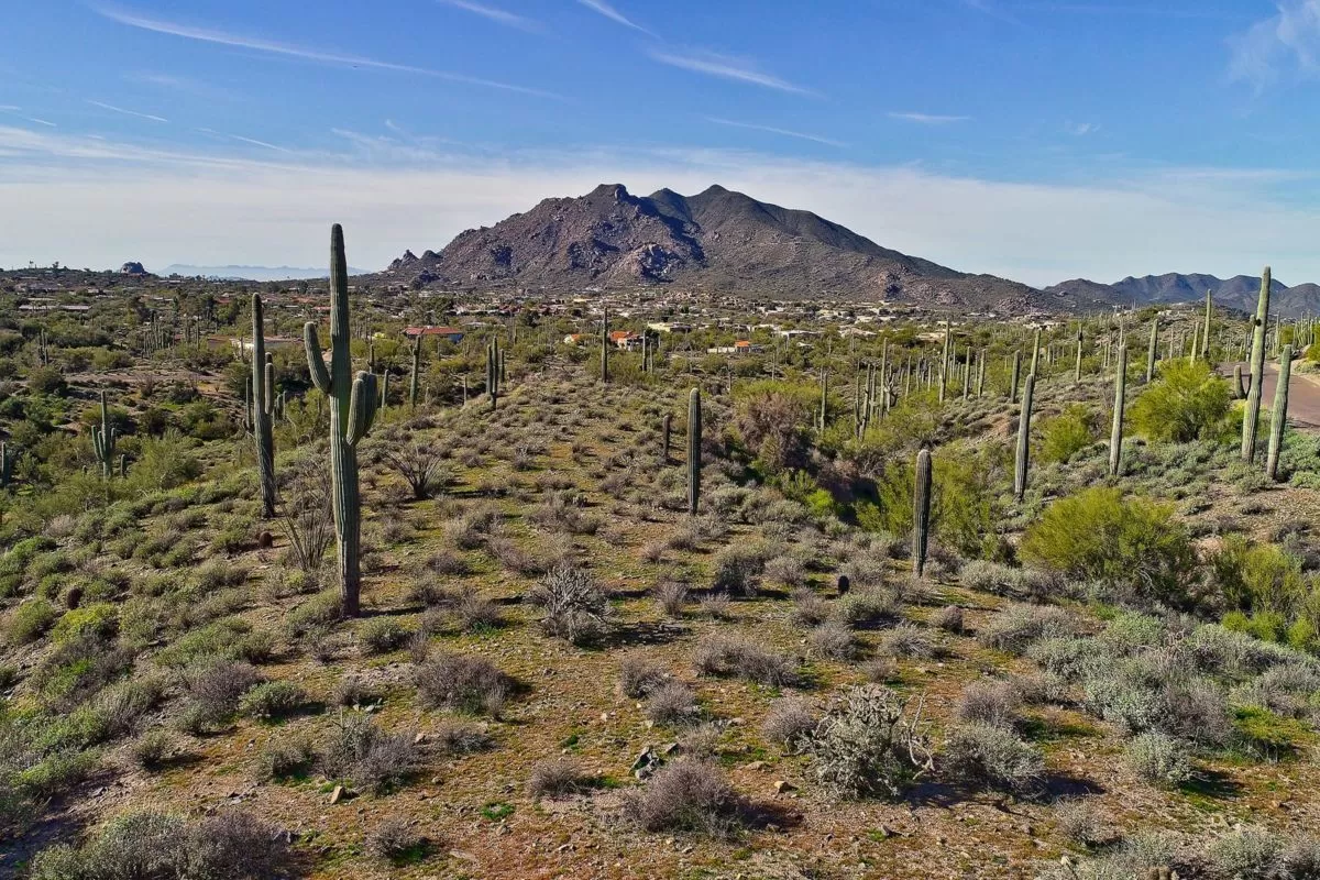 Carefree Non-HOA Land