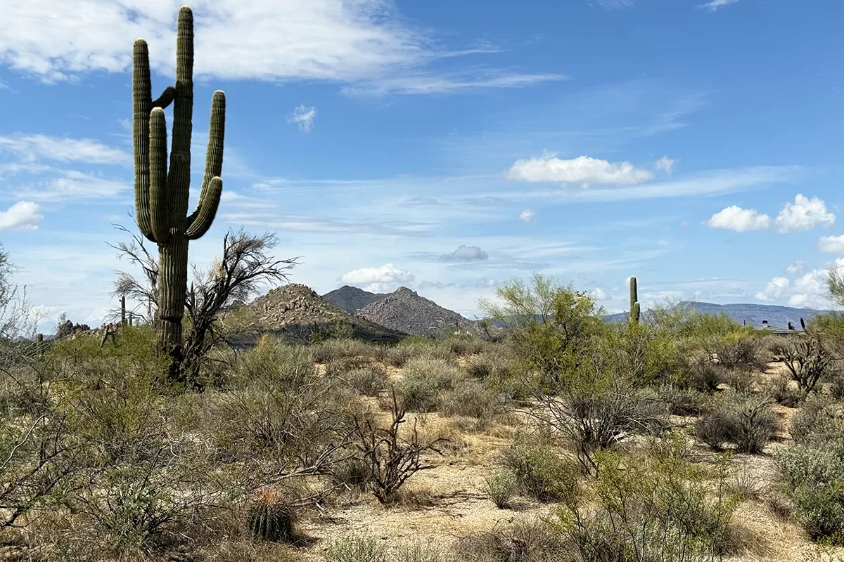 Pinnacle Peak Ranchos